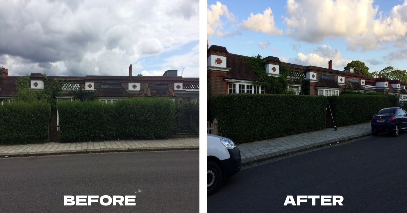 Garden transformation 1 — before and after