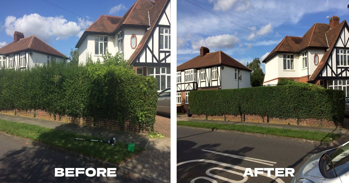 Garden transformation 2 — before and after