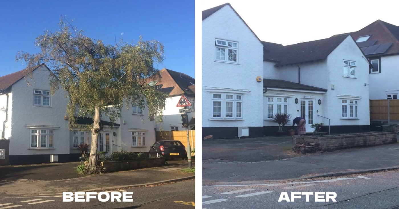 Garden transformation 4 — before and after