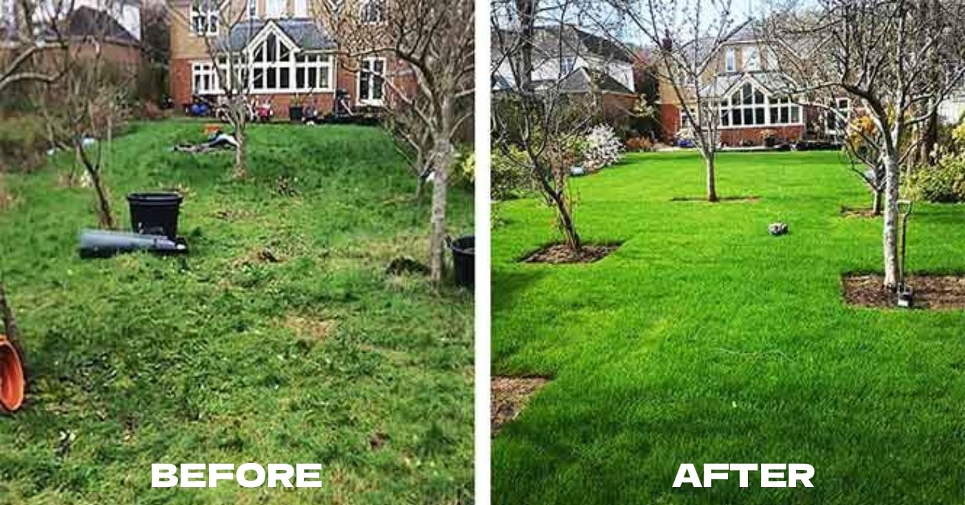 Garden transformation 8 — before and after