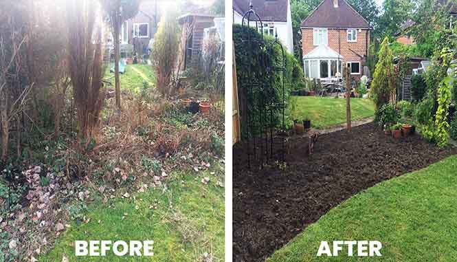 Garden transformation 10 — before and after