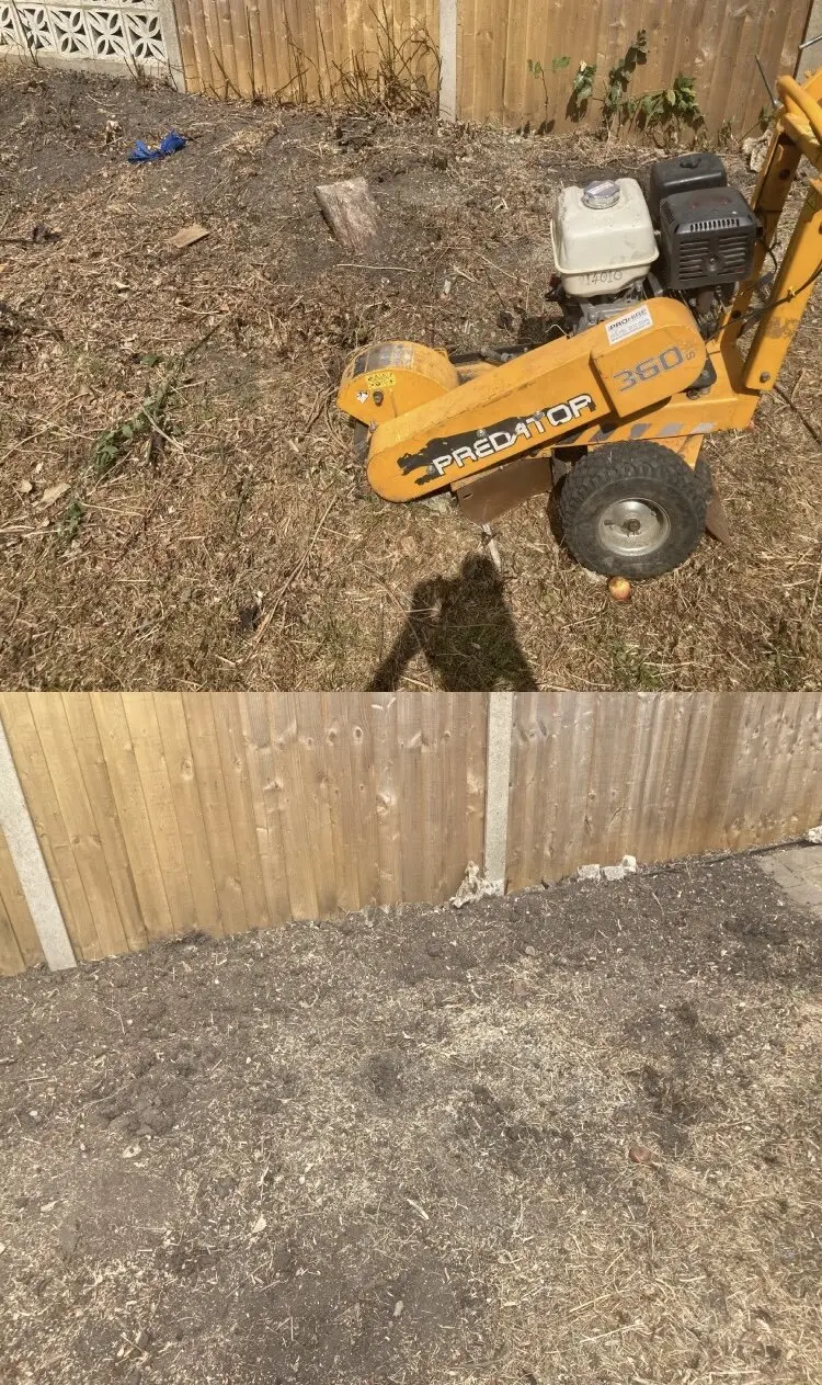 Garden and landscaping work by Gregory’s Gardens, photograph 15