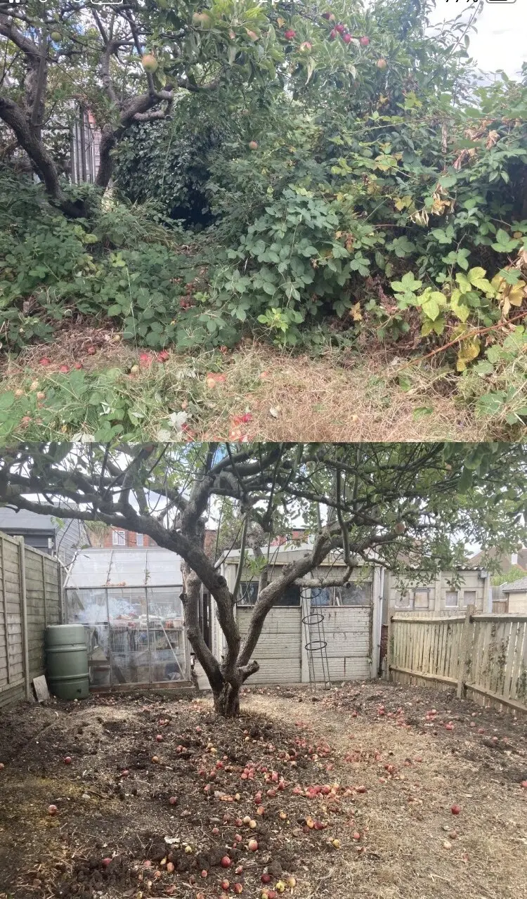 Garden and landscaping work by Gregory’s Gardens, photograph 18